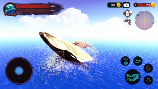 اسکرین شات بازی The Humpback Whales 2