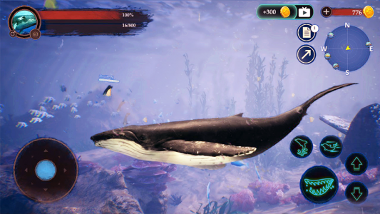 اسکرین شات بازی The Humpback Whales 5