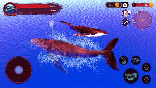 اسکرین شات بازی The Humpback Whales 6