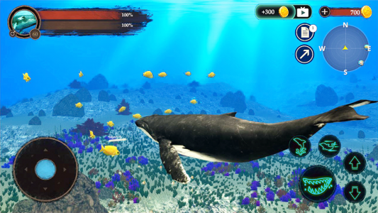 اسکرین شات بازی The Humpback Whales 3