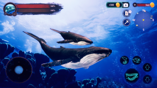 اسکرین شات بازی The Humpback Whales 1