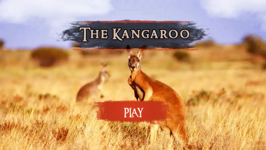 اسکرین شات بازی The Kangaroo 2