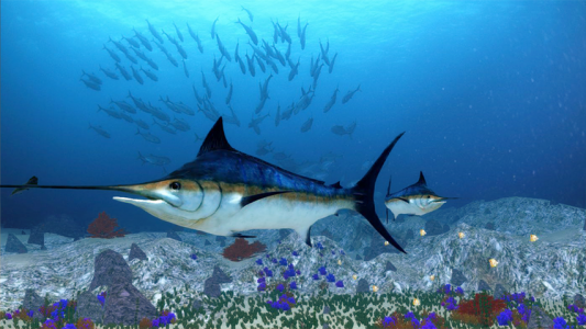 اسکرین شات بازی The Blue Marlin 6