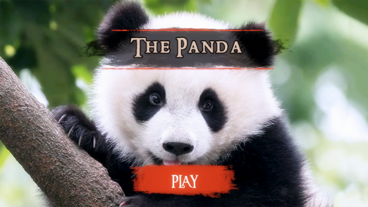 اسکرین شات بازی The Panda 2