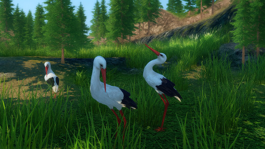 اسکرین شات 2 بازی The White Stork