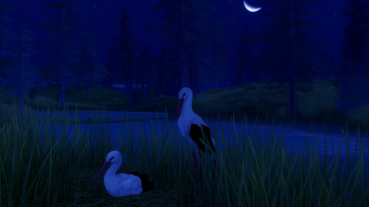 اسکرین شات 6 بازی The White Stork
