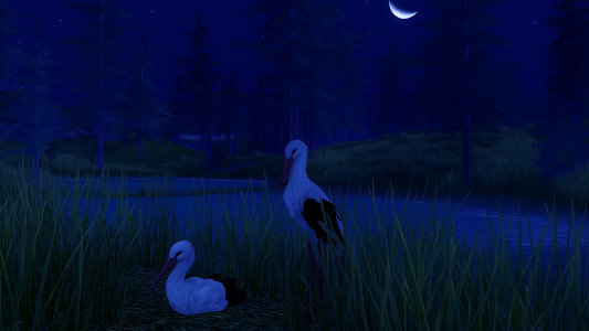 اسکرین شات 6 بازی The White Stork