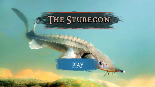 اسکرین شات بازی The Sturegon 2