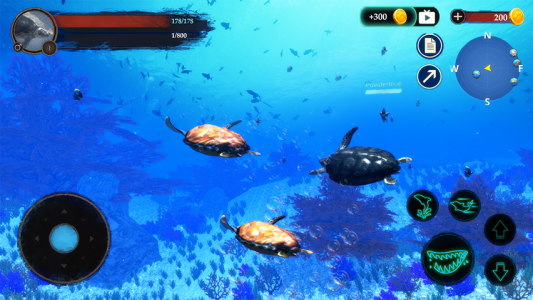 اسکرین شات 5 بازی The Turtle
