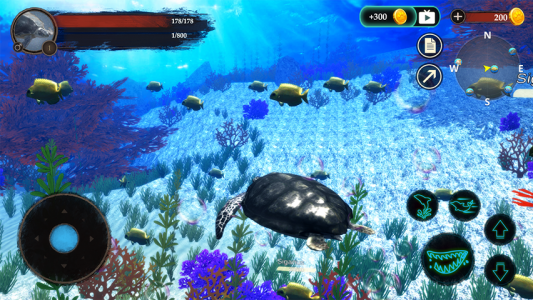 اسکرین شات 6 بازی The Turtle