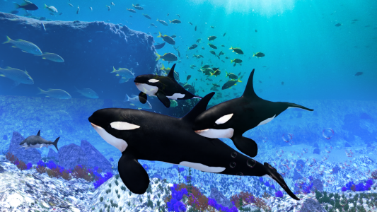 اسکرین شات 3 بازی The Killer Whale
