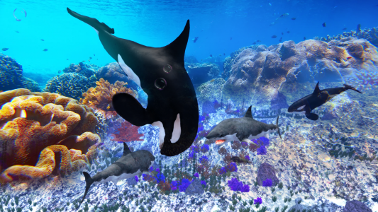 اسکرین شات 4 بازی The Killer Whale