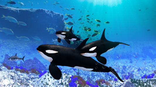 اسکرین شات بازی The Killer Whale 3