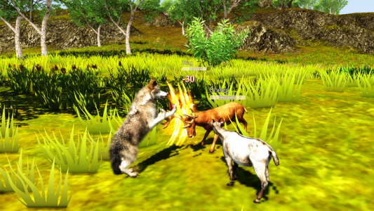 اسکرین شات بازی The Wolf Simulator 3