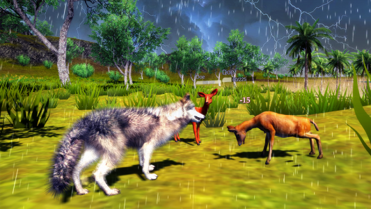 اسکرین شات بازی The Wolf Simulator 4