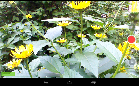 اسکرین شات 3 برنامه Larix Broadcaster: Live Stream