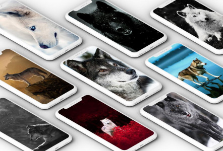 اسکرین شات 1 برنامه Wolf Wallpaper