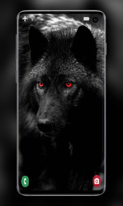 اسکرین شات 8 برنامه Wolf Wallpaper