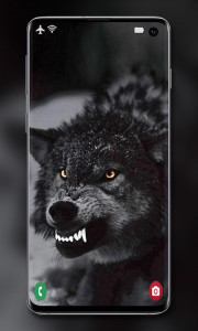 اسکرین شات برنامه Wolf Wallpaper 6