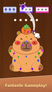 اسکرین شات 1 بازی Wood Screw Puzzle - Bolts Sort