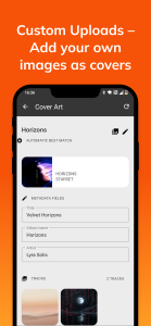 اسکرین شات 5 برنامه Album / Cover Art Finder