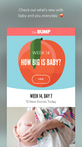 اسکرین شات برنامه The Bump Pregnancy Tracker 1