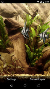 اسکرین شات برنامه HD Aquarium Live Wallpaper 3D 8