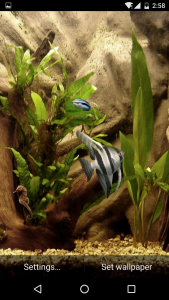 اسکرین شات 7 برنامه HD Aquarium Live Wallpaper 3D