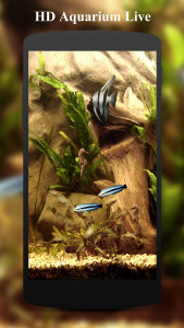 اسکرین شات 3 برنامه HD Aquarium Live Wallpaper 3D