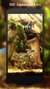 اسکرین شات برنامه HD Aquarium Live Wallpaper 3D 3