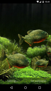 اسکرین شات 6 برنامه 3D Fish Aquarium Wallpaper HD