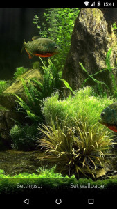 اسکرین شات 7 برنامه 3D Fish Aquarium Wallpaper HD