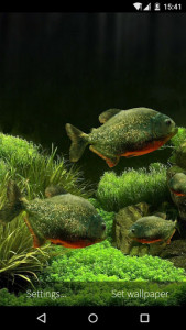 اسکرین شات برنامه 3D Fish Aquarium Wallpaper HD 6