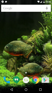 اسکرین شات 8 برنامه 3D Fish Aquarium Wallpaper HD