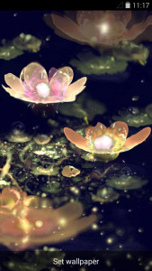 اسکرین شات 6 برنامه Lotus Lantern Live Wallpaper