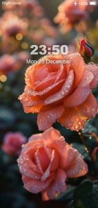اسکرین شات 1 برنامه Flower Wallpaper 4K