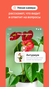 اسکرین شات 6 برنامه Яндекс — с Алисой AI