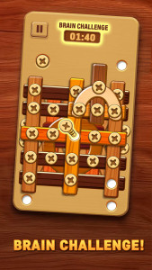 اسکرین شات 1 برنامه Wood Nuts & Bolts: Unscrew Pin