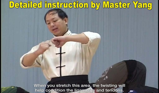 اسکرین شات برنامه Shaolin Kung Fu 2
