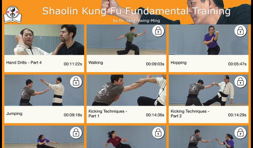 اسکرین شات برنامه Shaolin Kung Fu 1