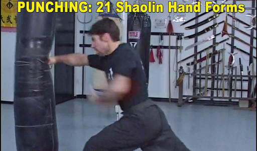 اسکرین شات برنامه Shaolin Kung Fu 4