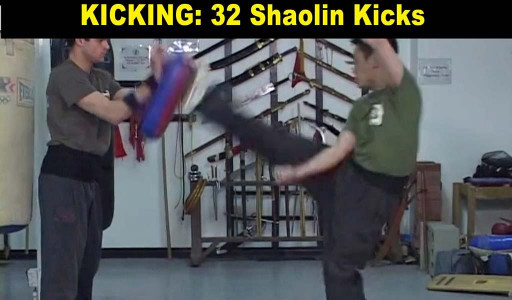 اسکرین شات برنامه Shaolin Kung Fu 5
