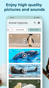 اسکرین شات برنامه Animal Sounds and Ringtones 5