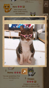 اسکرین شات 6 برنامه Zipper Lock Wallpapers Screen