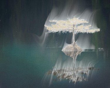 اسکرین شات 1 بازی Ring Lord: Shadow ghost Camera