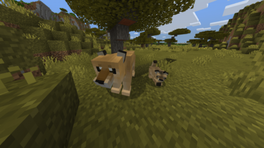اسکرین شات برنامه MCPE Zoo Animal yCreatures Mod 7