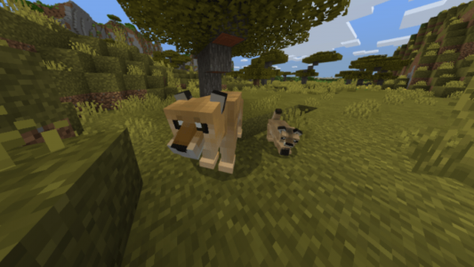 اسکرین شات 7 برنامه MCPE Zoo Animal yCreatures Mod