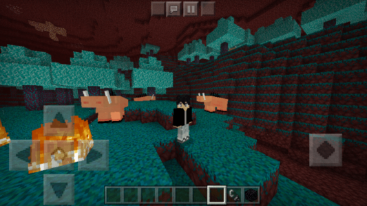 اسکرین شات 4 برنامه Craftsman Nether Worlds