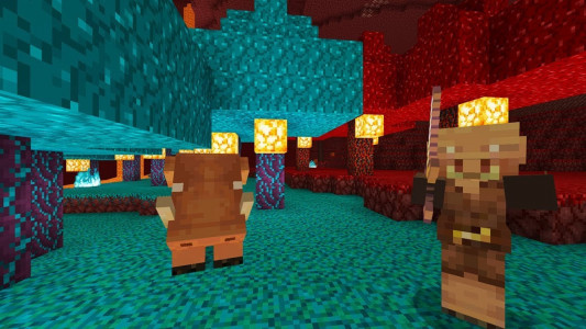 اسکرین شات 1 برنامه Craftsman Nether Worlds