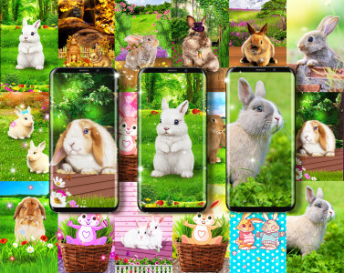 اسکرین شات برنامه Cute bunny easter wallpapers 1